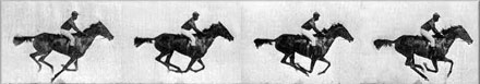 muybridge_horse.jpg